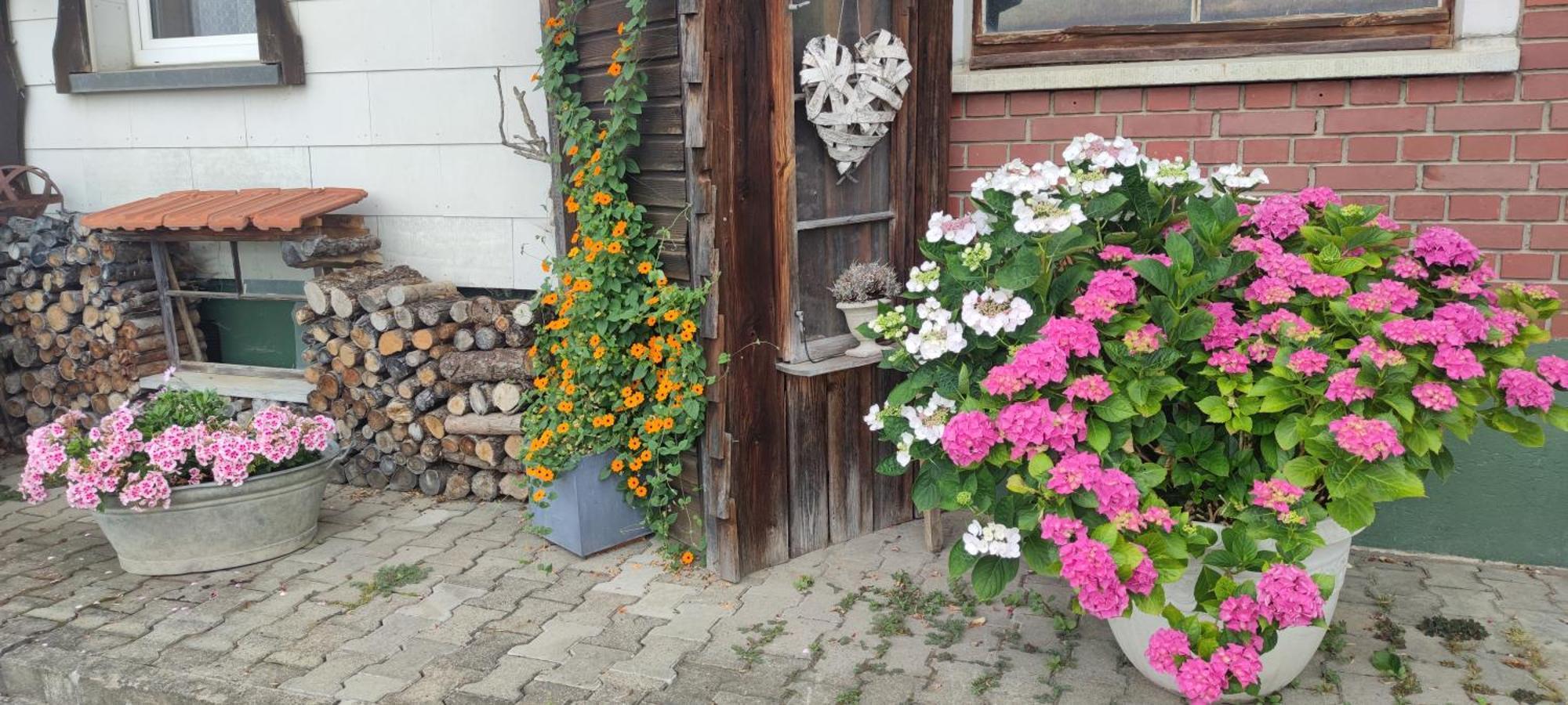 Gaestehaus Fechtig Hergensweiler Экстерьер фото