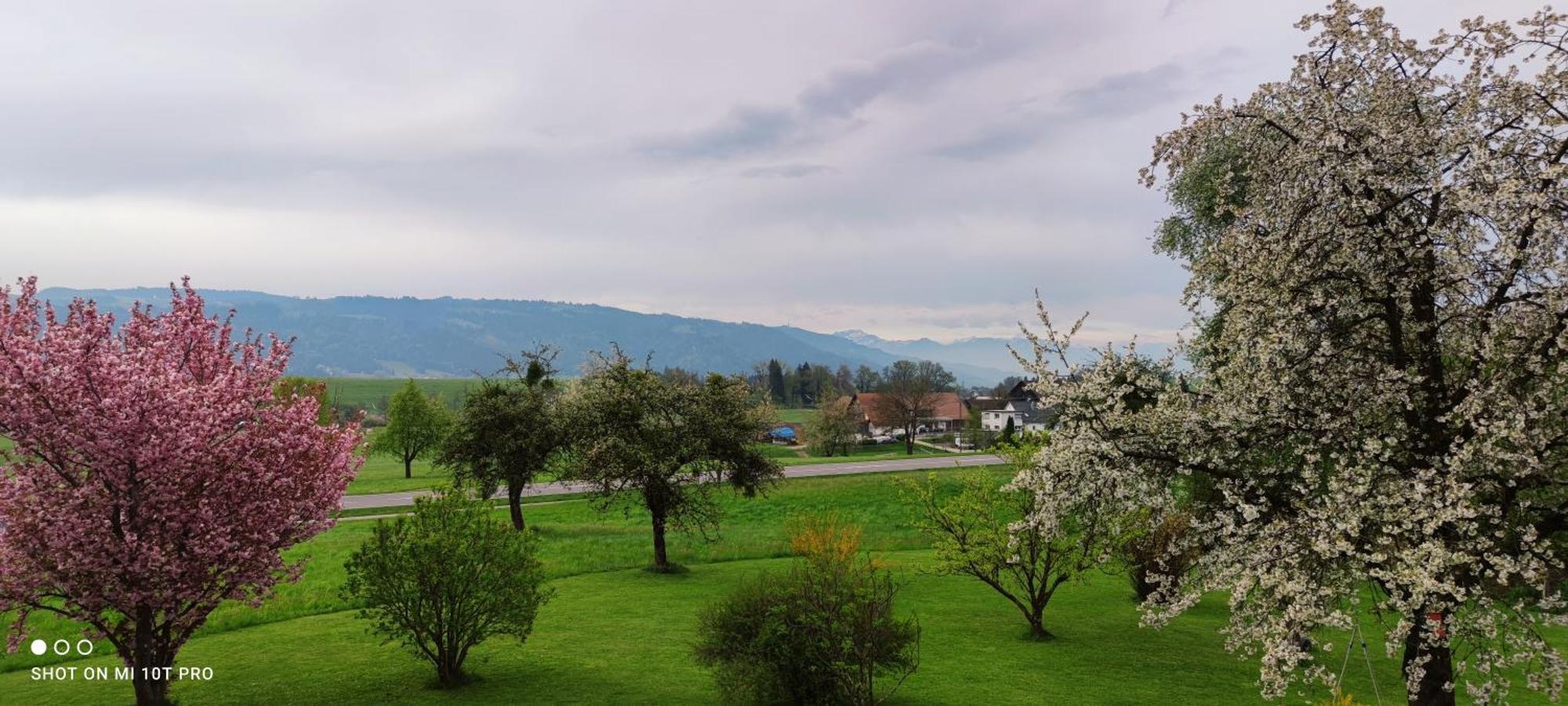 Gaestehaus Fechtig Hergensweiler Экстерьер фото